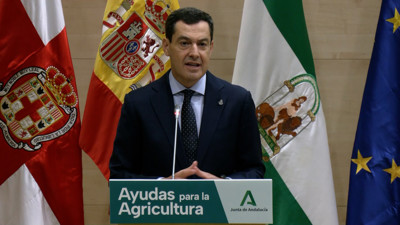 Haga click para ver la vista previa del vídeo.