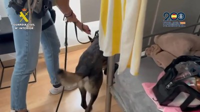 Haga click para ver la vista previa del vídeo.