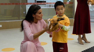 Haga click para ver la vista previa del vídeo.