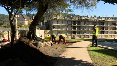 Haga click para ver la vista previa del vídeo.