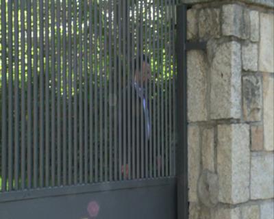 Foto del vídeo