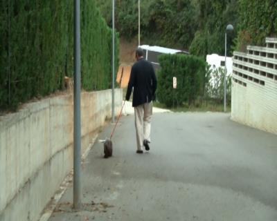 Foto del vídeo
