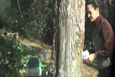 Foto del vídeo