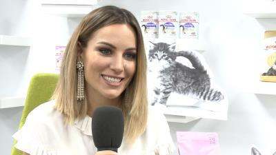 Foto del vídeo