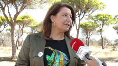 Haga click para ver la vista previa del vídeo.