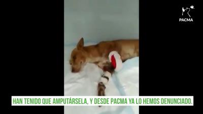 Foto del vídeo