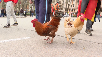 Haga click para ver la vista previa del vídeo.