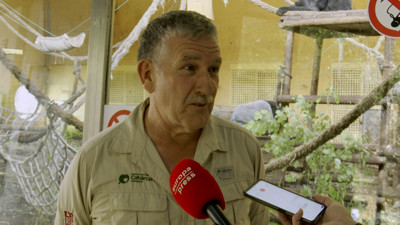 Haga click para ver la vista previa del vídeo.