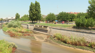 Haga click para ver la vista previa del vídeo.