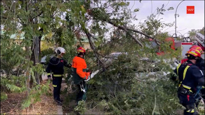 Haga click para ver la vista previa del vídeo.