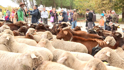 Haga click para ver la vista previa del vídeo.