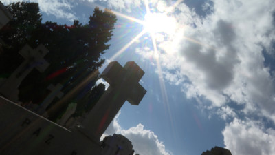 Haga click para ver la vista previa del vídeo.