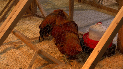 Haga click para ver la vista previa del vídeo.