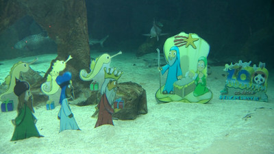 Haga click para ver la vista previa del vídeo.