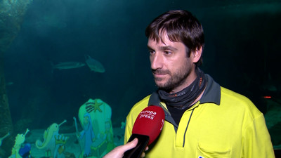 Haga click para ver la vista previa del vídeo.