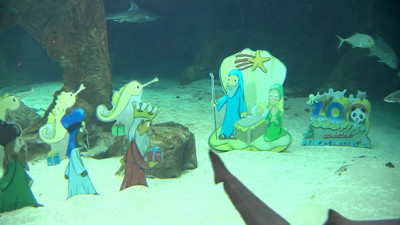 Haga click para ver la vista previa del vídeo.