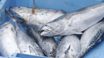 Haga click para ver la vista previa del vídeo.