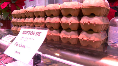 Haga click para ver la vista previa del vídeo.