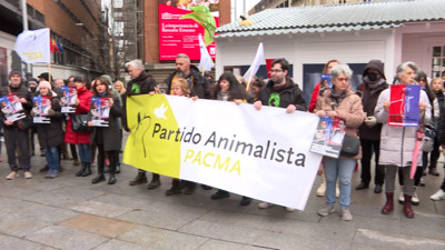 Haga click para ver la vista previa del vídeo.