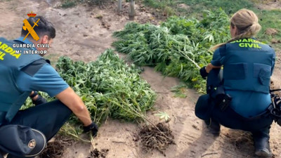 Haga click para ver la vista previa del vídeo.