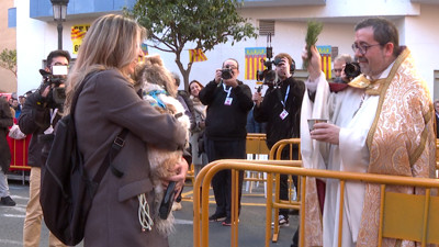 Haga click para ver la vista previa del vídeo.