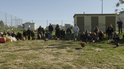 Haga click para ver la vista previa del vídeo.
