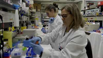 Haga click para ver la vista previa del vídeo.