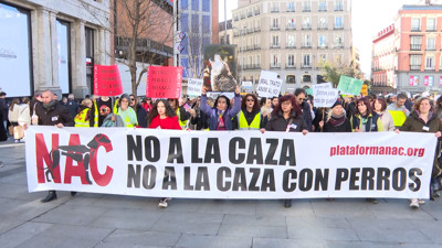 Haga click para ver la vista previa del vídeo.