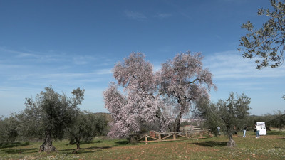 Haga click para ver la vista previa del vídeo.