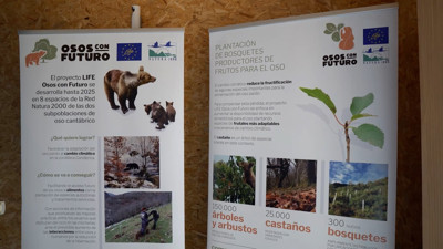 Haga click para ver la vista previa del vídeo.