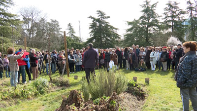 Haga click para ver la vista previa del vídeo.