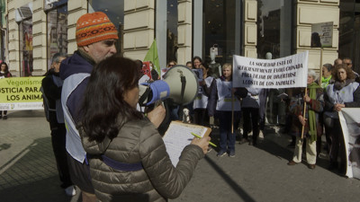 Haga click para ver la vista previa del vídeo.