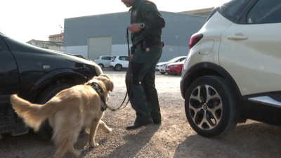 Haga click para ver la vista previa del vídeo.