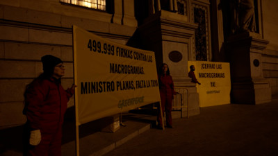 Haga click para ver la vista previa del vídeo.