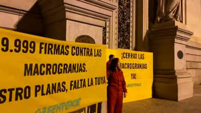 Haga click para ver la vista previa del vídeo.