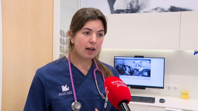 Haga click para ver la vista previa del vídeo.