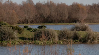 Haga click para ver la vista previa del vídeo.