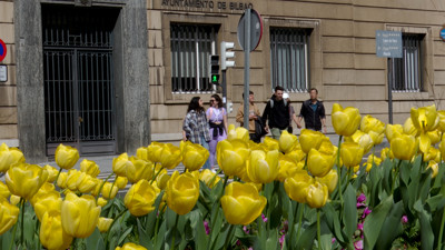 Haga click para ver la vista previa del vídeo.