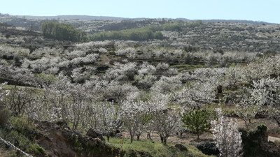Haga click para ver la vista previa del vídeo.