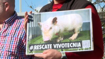 Haga click para ver la vista previa del vídeo.