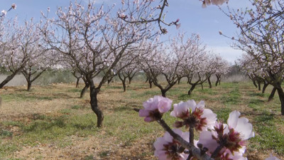 Haga click para ver la vista previa del vídeo.