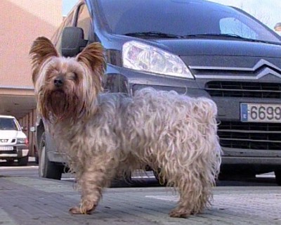 Haga click para ver la vista previa del vídeo.